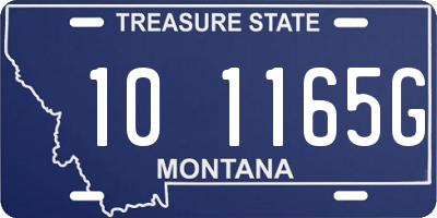 MT license plate 101165G