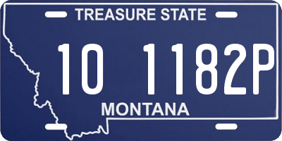 MT license plate 101182P