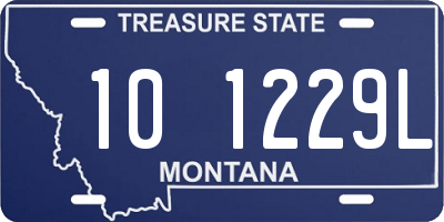 MT license plate 101229L