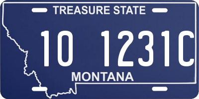 MT license plate 101231C