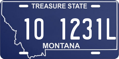 MT license plate 101231L