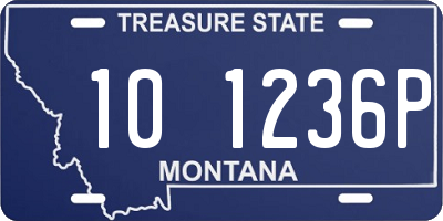 MT license plate 101236P