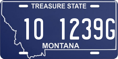 MT license plate 101239G