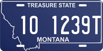 MT license plate 101239T