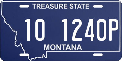 MT license plate 101240P
