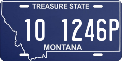 MT license plate 101246P
