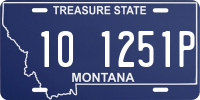 MT license plate 101251P