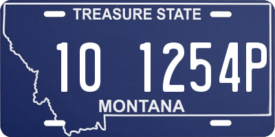 MT license plate 101254P