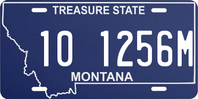 MT license plate 101256M