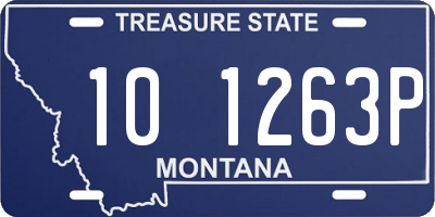 MT license plate 101263P