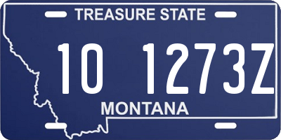 MT license plate 101273Z