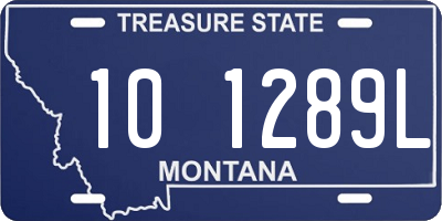 MT license plate 101289L