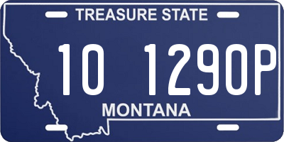 MT license plate 101290P