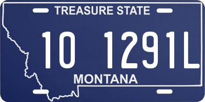 MT license plate 101291L