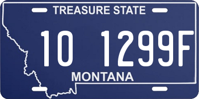 MT license plate 101299F