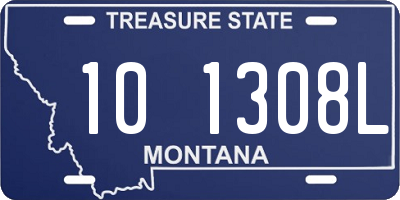 MT license plate 101308L