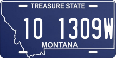 MT license plate 101309W