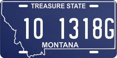 MT license plate 101318G