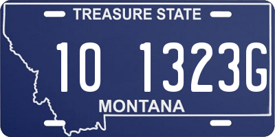 MT license plate 101323G