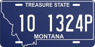 MT license plate 101324P