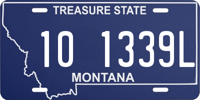 MT license plate 101339L