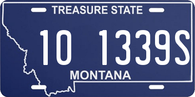 MT license plate 101339S