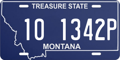 MT license plate 101342P