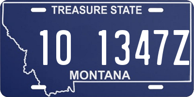 MT license plate 101347Z