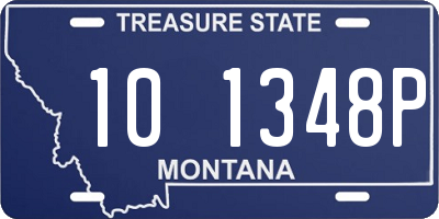 MT license plate 101348P