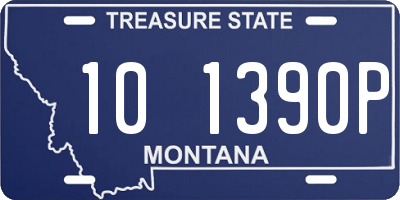 MT license plate 101390P