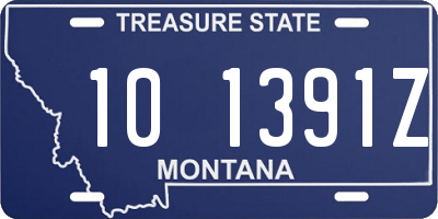 MT license plate 101391Z