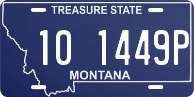 MT license plate 101449P