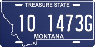 MT license plate 101473G