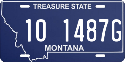 MT license plate 101487G