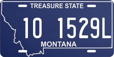 MT license plate 101529L