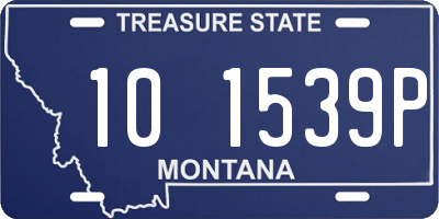 MT license plate 101539P