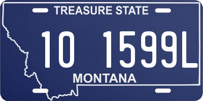 MT license plate 101599L