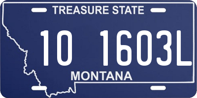 MT license plate 101603L