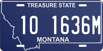 MT license plate 101636M