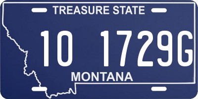 MT license plate 101729G