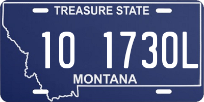 MT license plate 101730L