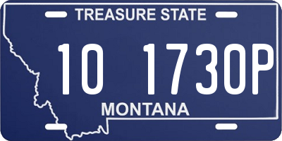 MT license plate 101730P