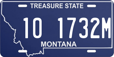 MT license plate 101732M