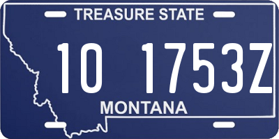 MT license plate 101753Z