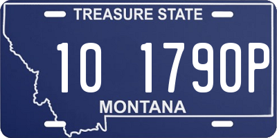 MT license plate 101790P