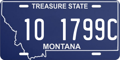 MT license plate 101799C