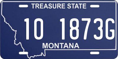 MT license plate 101873G