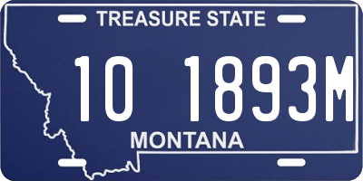 MT license plate 101893M