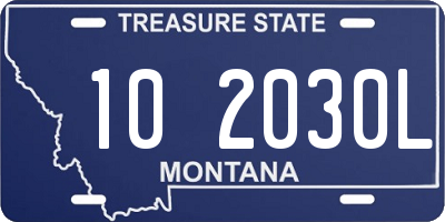 MT license plate 102030L