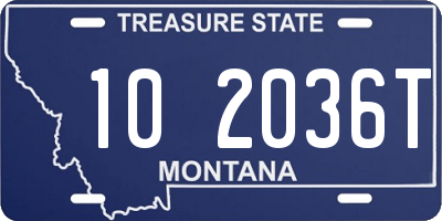 MT license plate 102036T